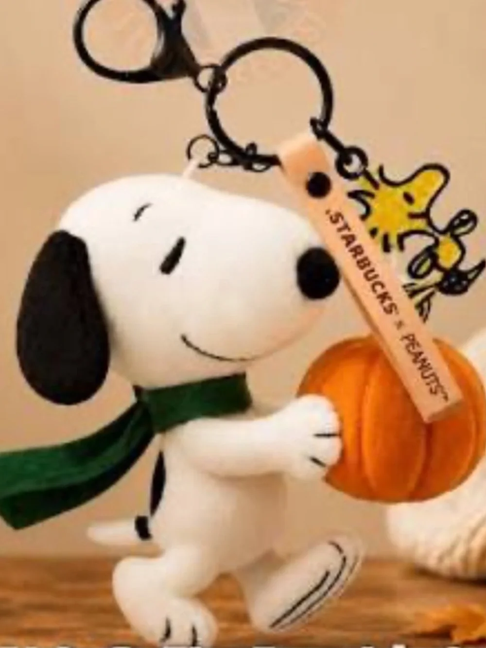 Starbucks peanuts snoopy